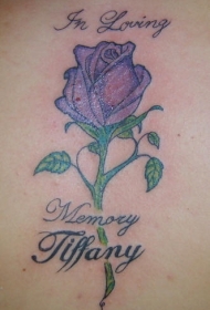 背部彩色紫玫瑰纪念纹身图案
