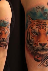 手臂彩绘老虎头像纹身图案