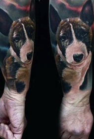 手臂非常逼真的彩色狗肖像纹身图案