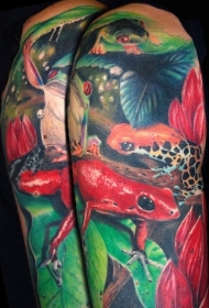 肩部彩色逼真的青蛙纹身图案