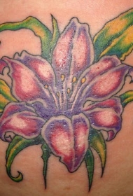 腹部彩色奇异的芙蓉花纹身图案