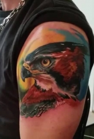 手臂逼真的彩色鹰头纹身图案