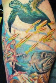 腿部彩色海洋主题与海龟纹身图案