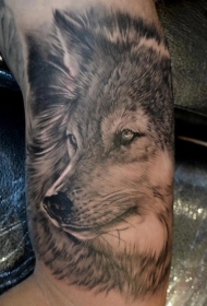 逼真写实的狼头纹身图案