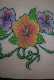 女性腰部彩色芙蓉花纹身图案