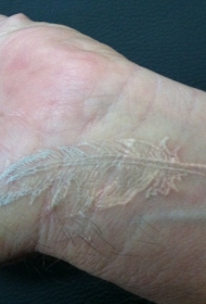 手腕简约的白色羽毛隐形纹身图案