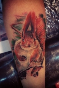 小臂彩色的松鼠纹身图案