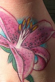 脚背彩色粉红百合花纹身图案