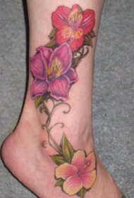 脚部彩色木槿花纹身图片