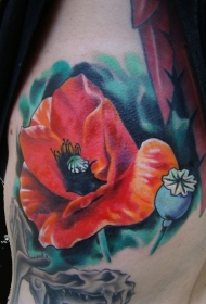 肩部水彩色红罂粟花纹身图案