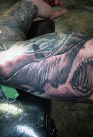 灰色邪恶鲨鱼纹身图案