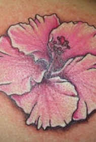肩部彩色柔和的木槿花纹身图片