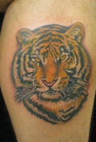 腿部的彩色老虎头像纹身图案