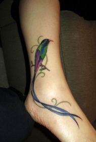 女生脚踝漂亮的鸟纹身图案