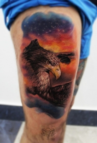 大腿现实主义风格彩色鹰在夜空纹身图案