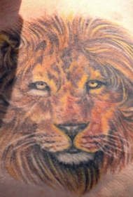 背部逼真的彩色狮子头纹身图案