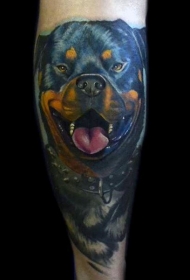 可爱逼真的彩色罗威纳犬纹身图案