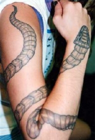 手臂灰色个性蛇纹身图案