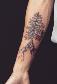 男性手臂逼真的灰色松树纹身图案