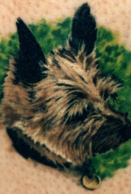 彩色玩具梗犬的纹身图案