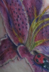 肩部彩色百合花纹与瓢虫纹身图案