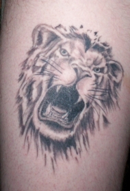 怒吼的狮子头像纹身图案