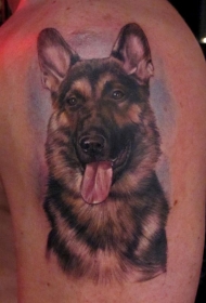 大臂彩色德国牧羊犬肖像纹身图案