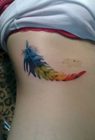 肋骨好看的彩色羽毛纹身图案