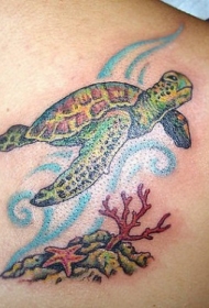 可爱的海龟与珊瑚海星纹身图案