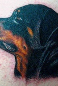 写实的罗威纳犬纹身图案