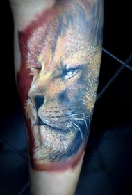 精彩的现实主义风格彩色狮子头纹身图案