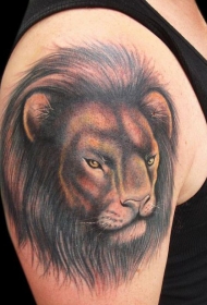 大臂漂亮的狮子头像纹身图案