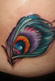 彩色的孔雀羽毛纹身图案