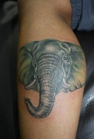 小腿简单的彩色写实大象头部纹身图案