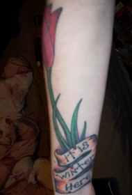 女性手臂彩色郁金香与丝带纹身图片