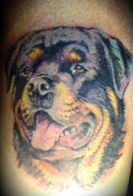 超级逼真的罗威纳犬头部纹身图案