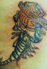 背部彩色哈雷戴维森蝎子纹身图片