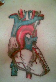 胸部彩色生物心脏纹身图片