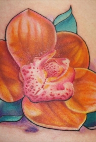 女性手臂彩色逼真的兰花纹身图片