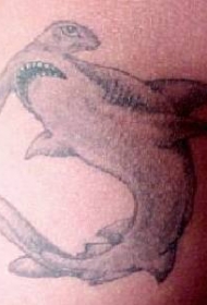 手臂灰色锤头鲨纹身图案