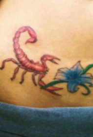 腰部彩色红蝎子与花朵纹身图案
