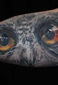 大臂现实主义风格的彩色猫头鹰纹身图案
