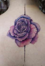 女性背部彩色逼真的玫瑰花纹身图案