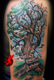 大臂写实树和铭文纹身图案