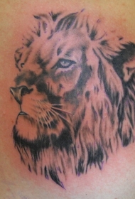 好看的狮子头像纹身图案