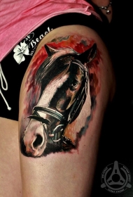 腿部彩色真正的照片马头纹身图案