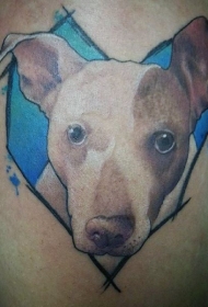 彩色逼真的狗肖像和心形纹身图案