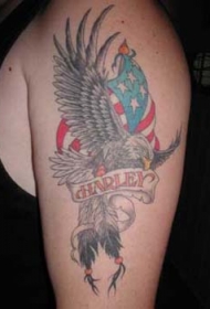 肩部彩色哈雷戴维森美国爱国主义的纹身
