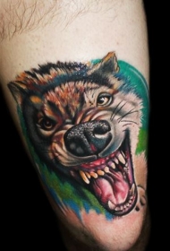 愤怒的狼头彩色纹身图案