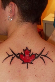 男子背后加拿大象征部落纹身